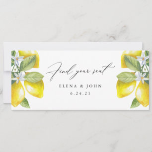 Watercolor Lemon Blossom Hanging Seat Chart Sign