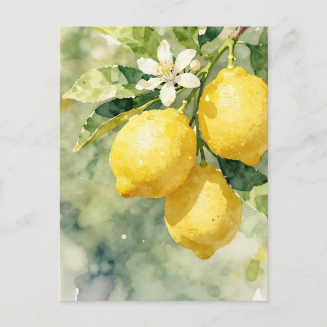 Watercolor Lemon Branch Botanical Summer Postcard (Front)