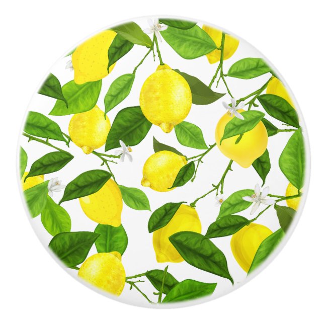 Watercolor Lemon Ceramic Knob (Front)