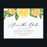 Watercolor Lemons and Oranges Save the Date Announcement Postcard<br><div class="desc">Save the date! Announce your wedding date to family and friends with this summer save the date postcard. It features watercolor illustrations of lemons and oranges with a whimsical script. Personalise by adding names,  date,  venue and other details. These citrus save the date postcards are perfect for summer weddings.</div>