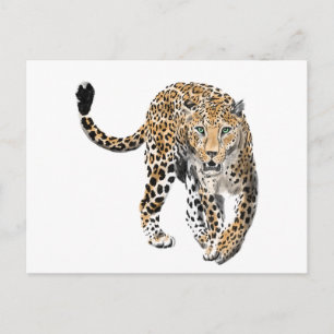 watercolor leopard jungle cat painted animal green postcard