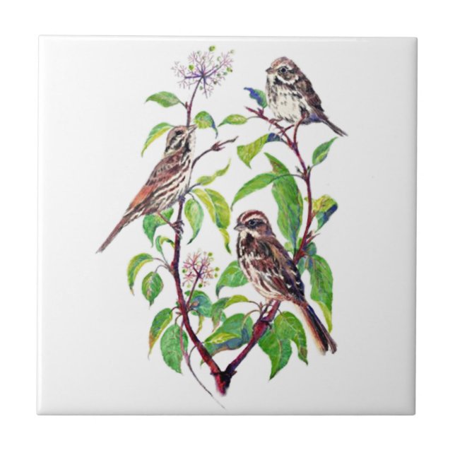 Watercolor Little Bird in Dogwood tree Bird Art Tile (Front)