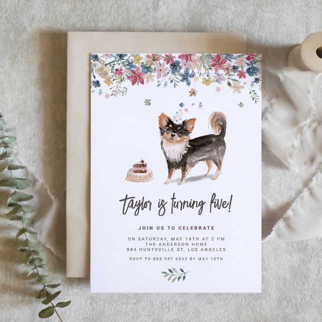 Watercolor Long Haired Chihuahua Birthday Party Invitation (Celebrate your furry friend’s special day with our charming black Chihuahua birthday invitation.)