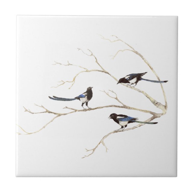  Watercolor Magpie Bird Family Chatting in Tree Tile (Front)