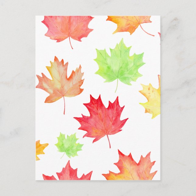 Watercolor Maple Leaf Pattern Postcard (Front)