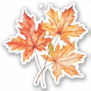 Watercolor Maple Tree Leaves