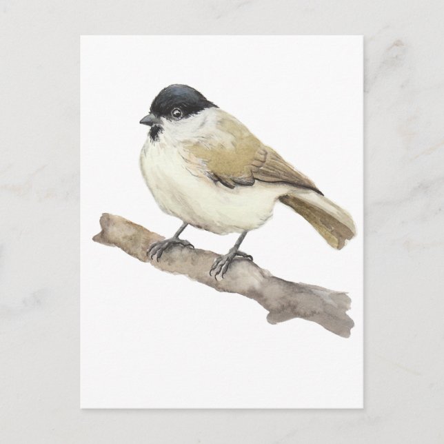 Watercolor Marsh Tit Holiday Postcard (Front)