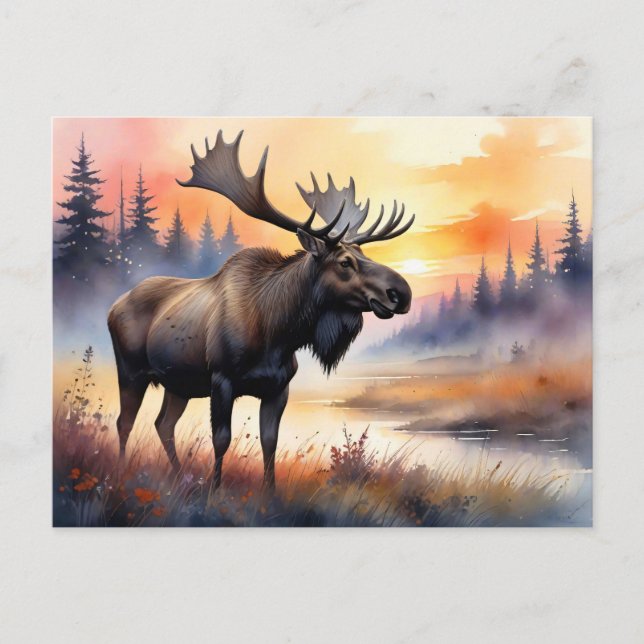 Watercolor Moose at Sunrise Postcard (Front)