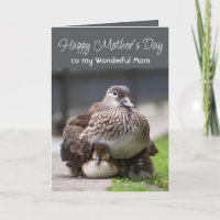 Watercolor Mother Duck Baby Chicks