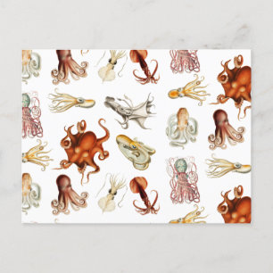 Watercolor Octopus Cephalopod Ocean Animals  Holiday Postcard