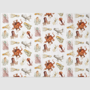 Watercolor Octopus Cephalopod Ocean Animals  Tissue Paper