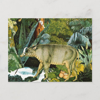 Watercolor of a Babirusa Wild Pig Postcard