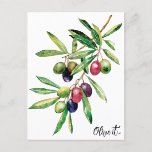 Watercolor Olive Branch Postcard