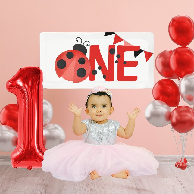 Watercolor ONE Ladybug 1st Birthday Mini Banner (Mini Watercolor Ladybug ONE Hanging Vinyl Banner for Photoshoot or Cake Smash)