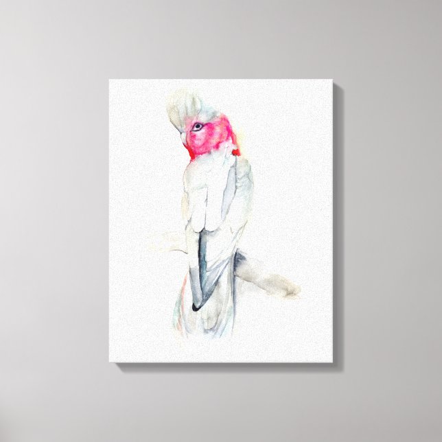 Watercolor Opera Cockatoo Canvas Print (Front)