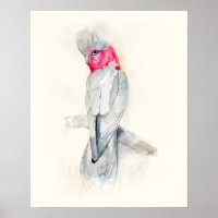 Watercolor Opera Cockatoo