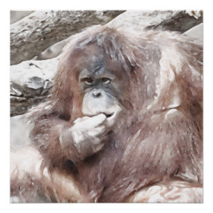 Watercolor Orang 2 Poster