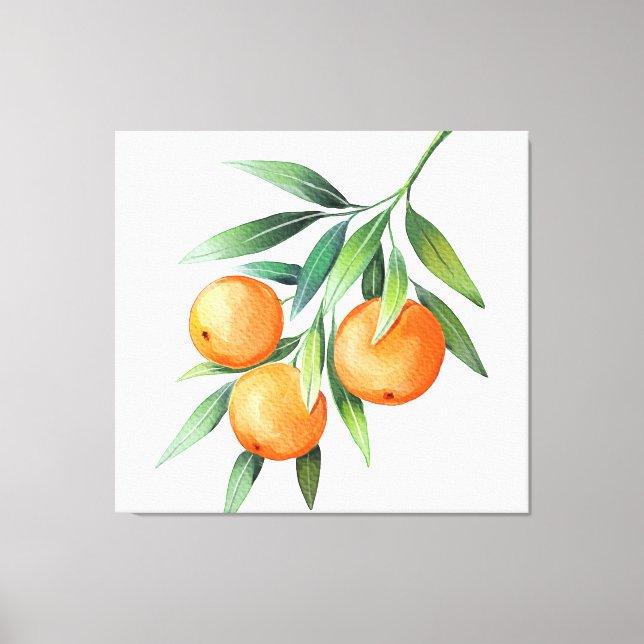 Watercolor Orange Fruits: Branches Isolated. Canvas Print (Front)