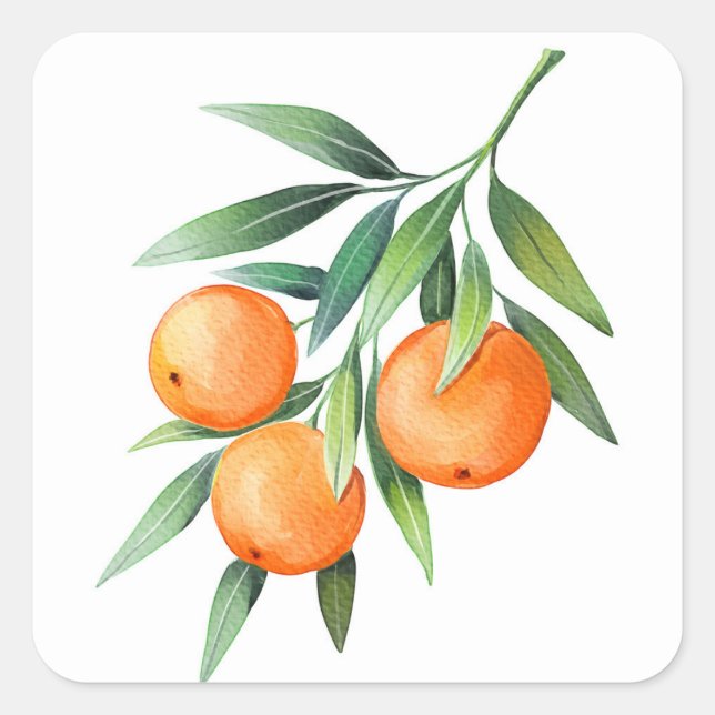 Watercolor Orange Fruits: Branches Isolated. Square Sticker (Front)