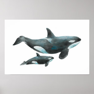 Watercolor Orca Mother and Baby Poster