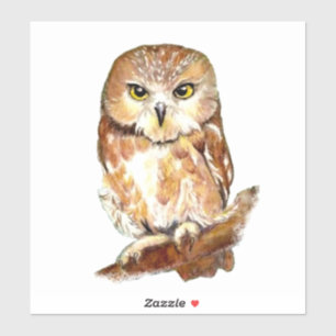 Watercolor Owl Bird Wildlife Nature Art