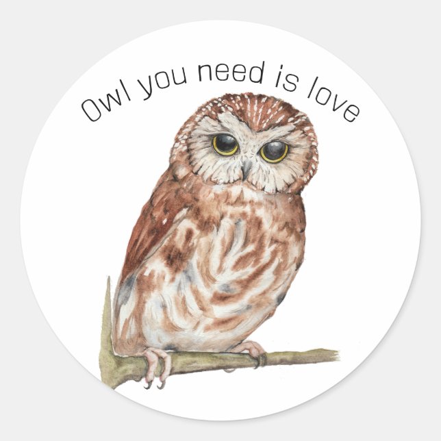 Watercolor Owl Illustration Classic Round Sticker (Front)