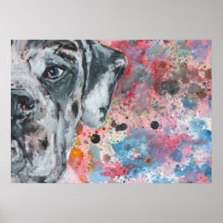 Watercolor painted Great Dane face Poster