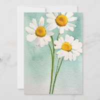 Watercolor painting chamomile flowers white bloom