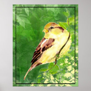 Watercolor Painting of Sparrow Bird in Tree Poster