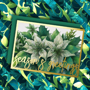 Watercolor Painting White Poinsettia Christmas