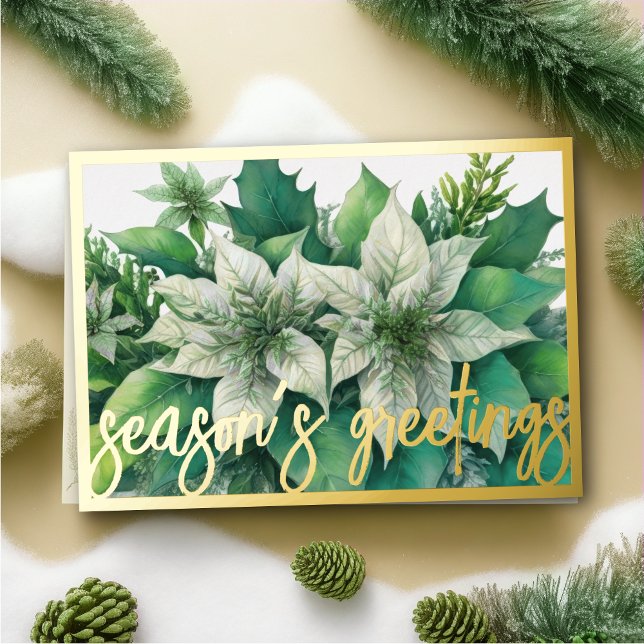 Watercolor Painting White Poinsettia Christmas Holiday Card (Creator Uploaded)