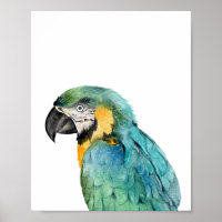 Watercolor Parrot Bird Blue Gold Macaw 