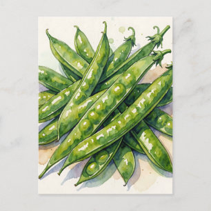 Watercolor Pea Pods Postcard