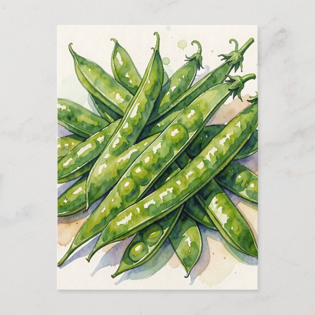 Watercolor Pea Pods Postcard (Front)