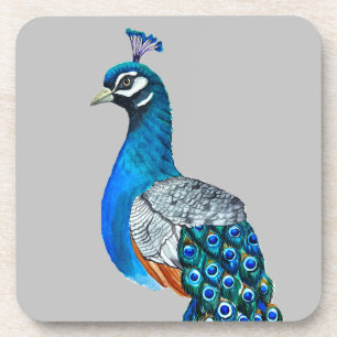 Watercolor peacock coaster