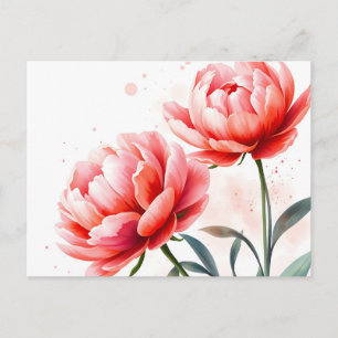 Watercolor Peonies in Coral and Blush Postcard