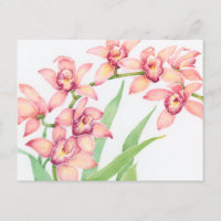Watercolor Pink Flowers
