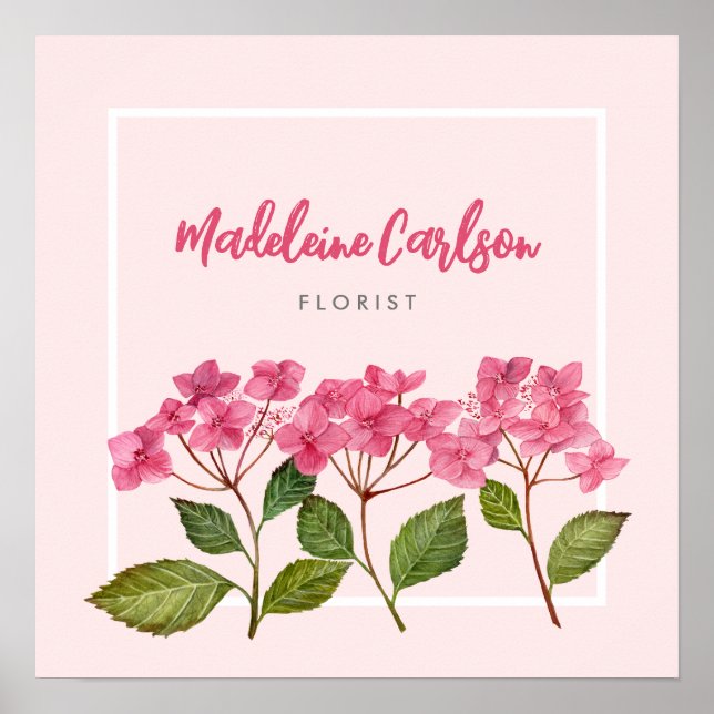 Watercolor Pink Hydrangea Lacecaps Illustration Poster (Front)