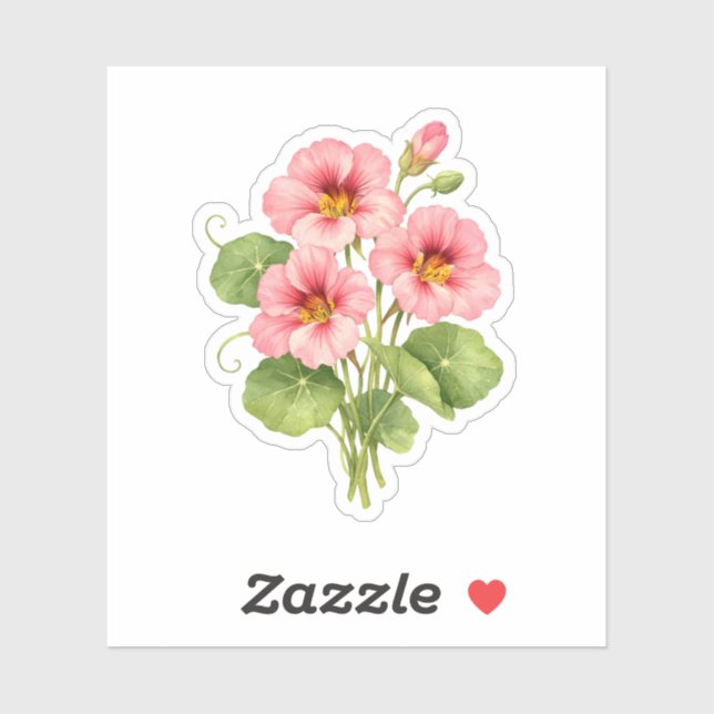 Watercolor Pink Nasturtium Flowers  (Sheet)