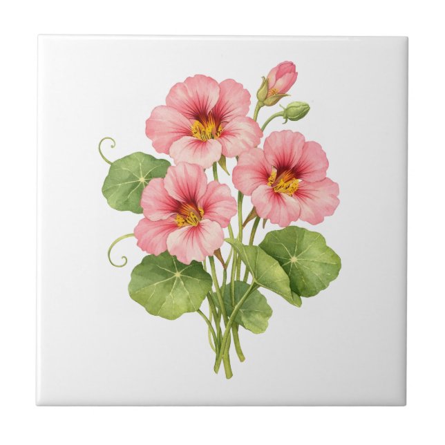 Watercolor Pink Nasturtium Flowers  Tile (Front)