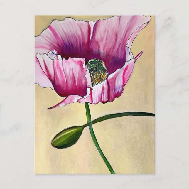Watercolor pink poppy art flower postcard (Front)