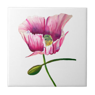 Watercolor pink poppy pretty flower tile