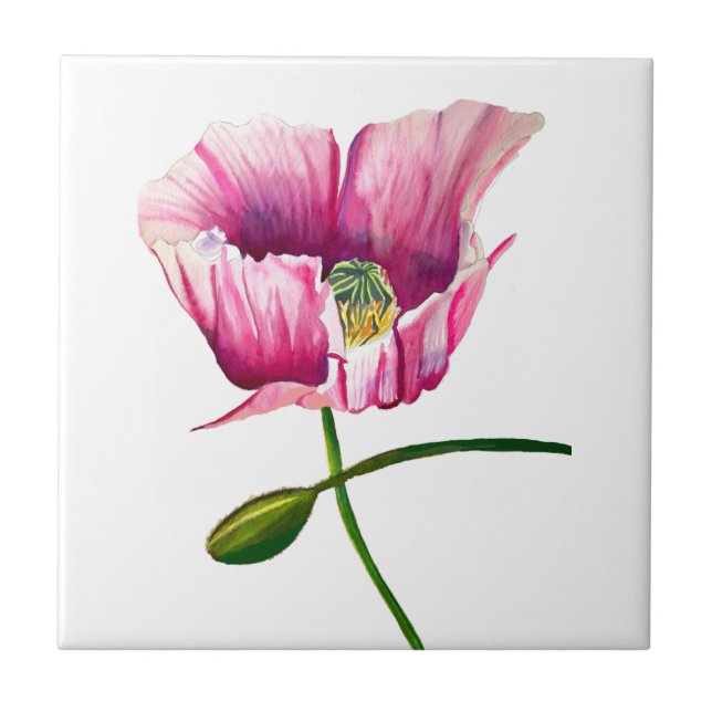 Watercolor pink poppy pretty flower tile (Front)