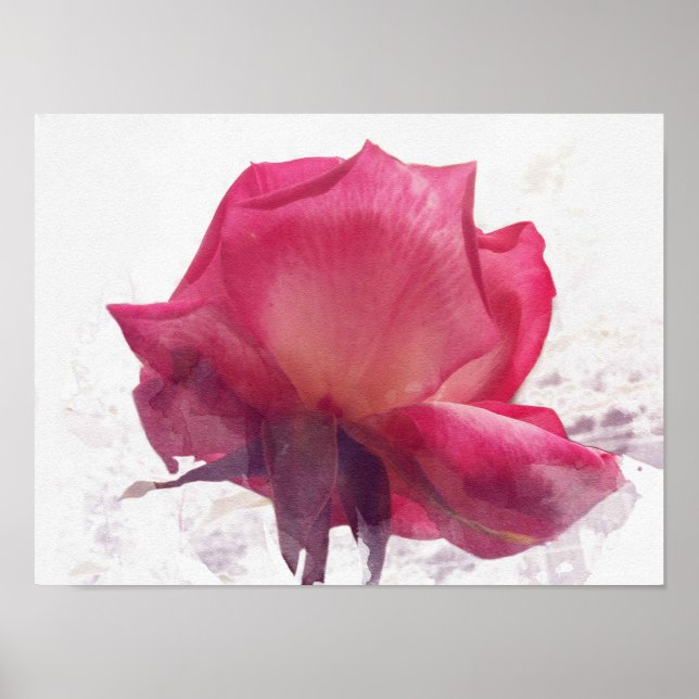 watercolor.Pink rose. Poster (Front)