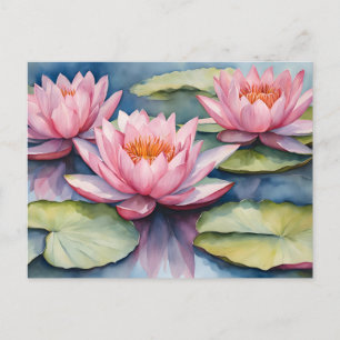 Watercolor Pink Water Lilies in the Pond Postcard