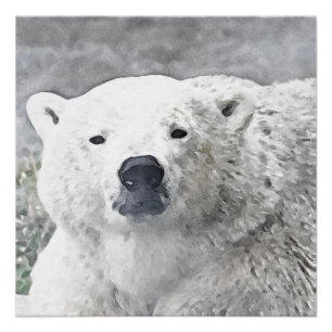 Watercolor Polar Bear Poster