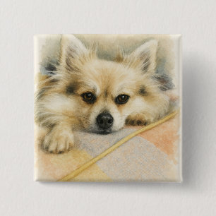 Watercolor Pomeranian Chihuahua Dog Portrait 15 Cm Square Badge