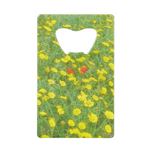 Watercolor poppies