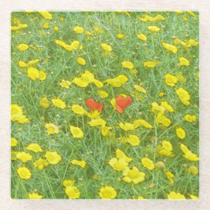 Watercolor poppies glass coaster