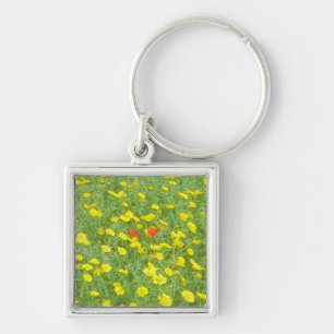 Watercolor poppies key ring